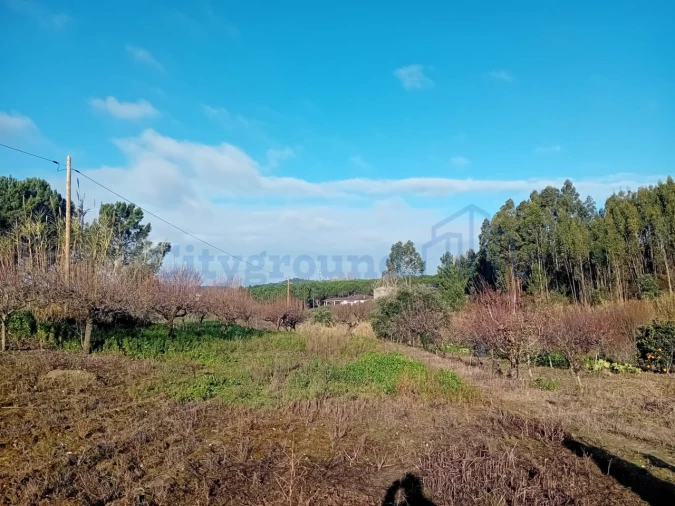 Terreno para Venda em Leiria, Pousos, Barreira e Cortes