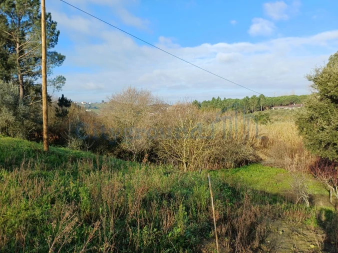 Terreno para Venda em Leiria, Pousos, Barreira e Cortes Foto 9