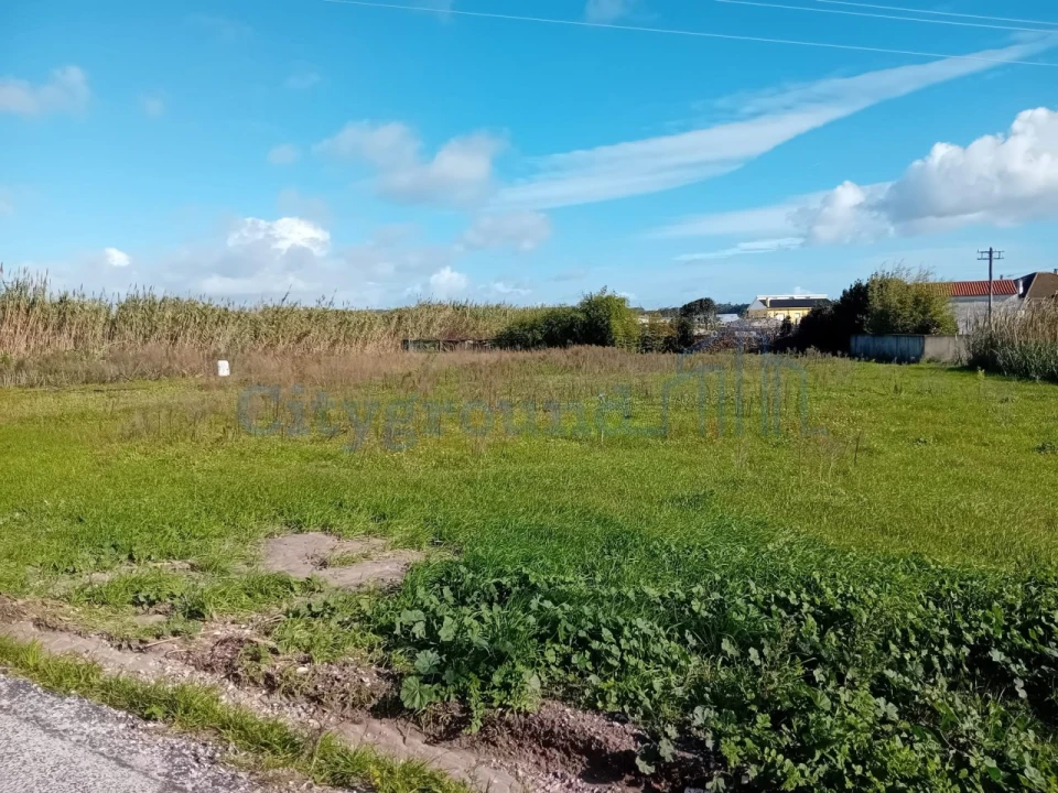Terreno para Venda em Silveira Foto 2