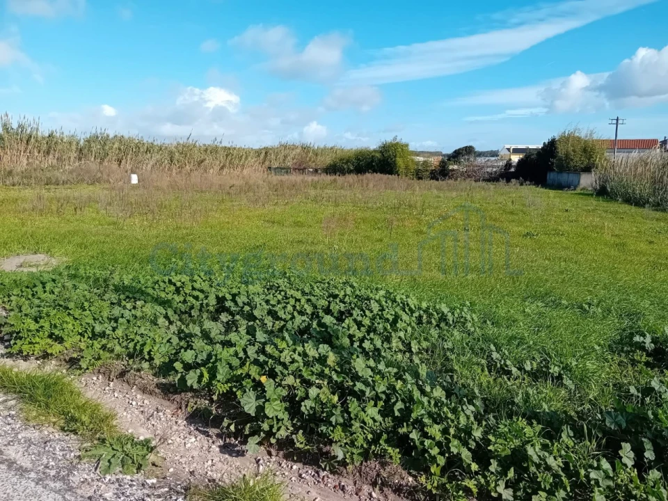 Terreno para Venda em Silveira Foto 3
