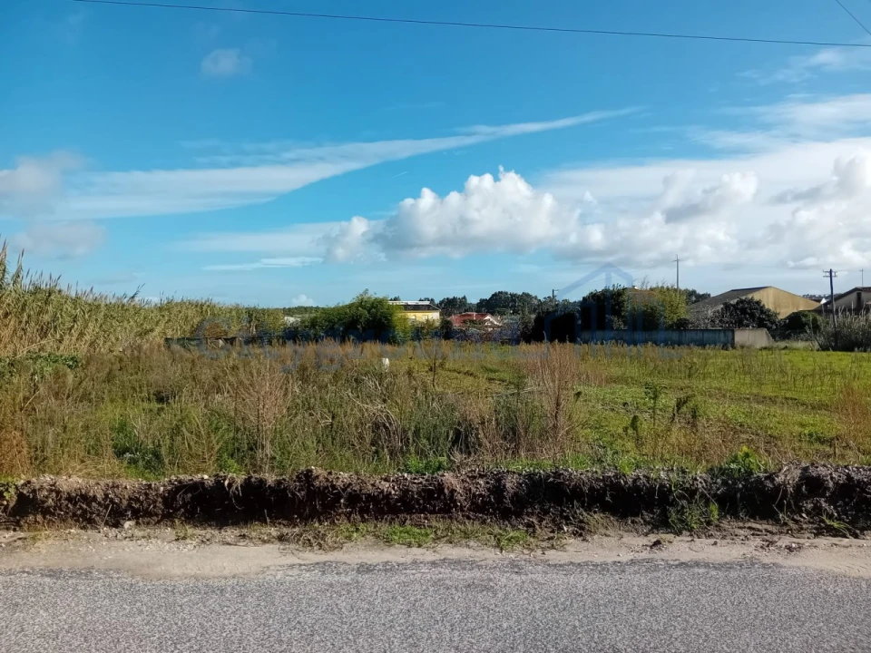Terreno para Venda em Silveira Foto 5