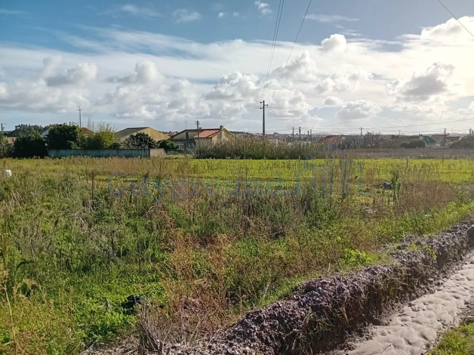 Terreno para Venda em Silveira Foto 6