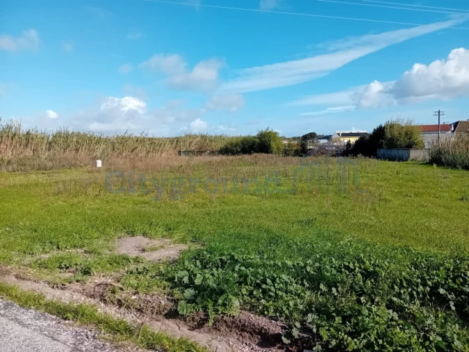 Terreno para Venda em Silveira Foto 2