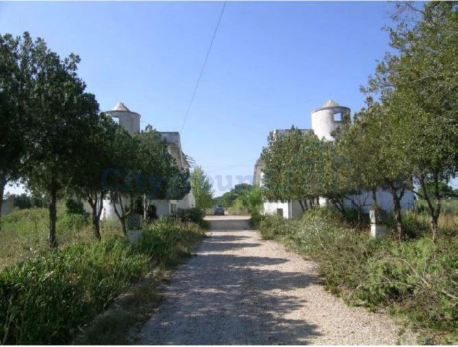 Terreno para Venda em Canha Foto 8