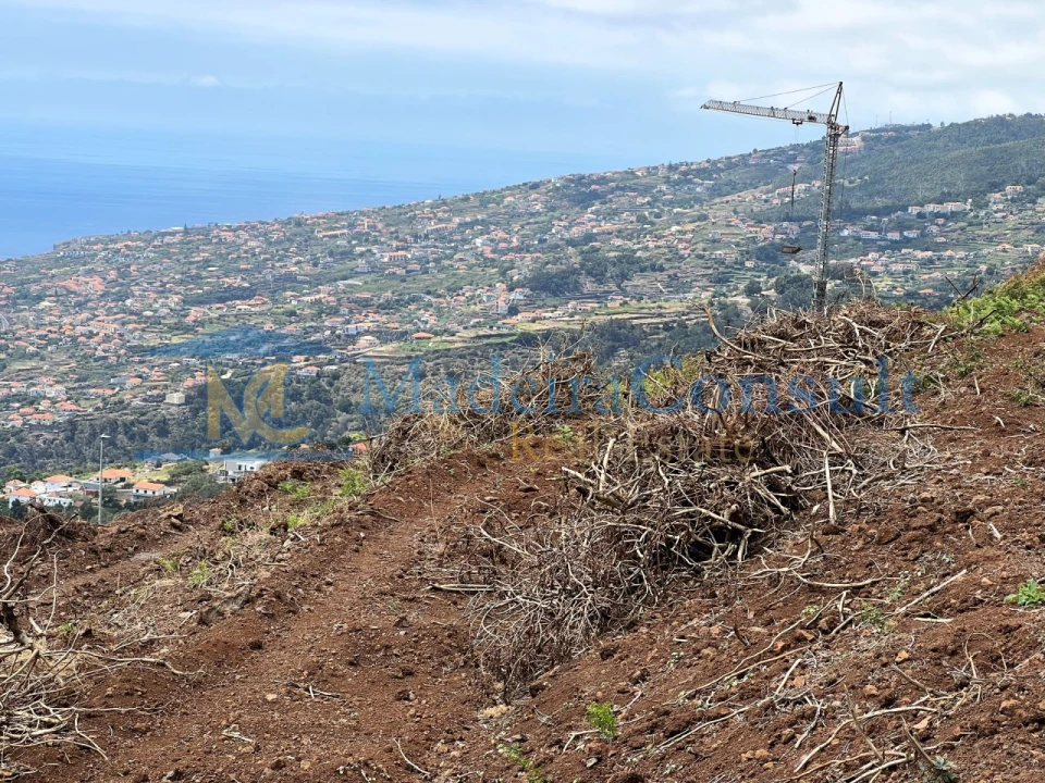 Terreno para Venda em Santa Cruz Foto 13