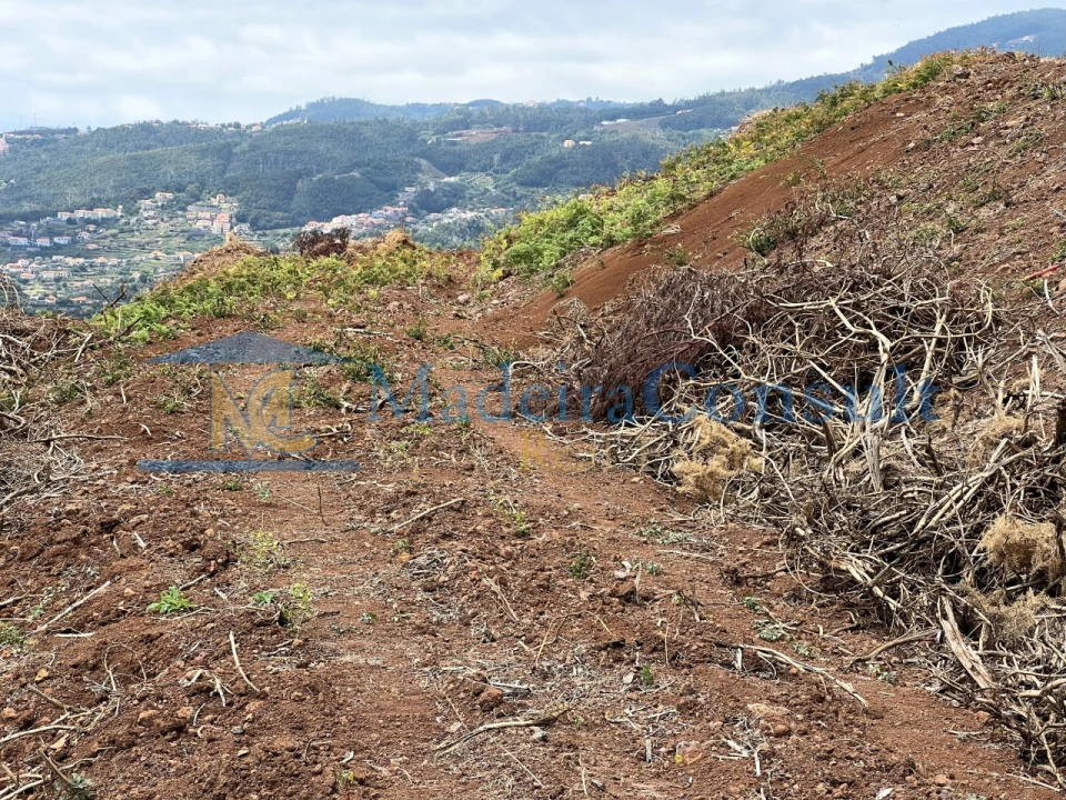 Terreno para Venda em Santa Cruz Foto 12