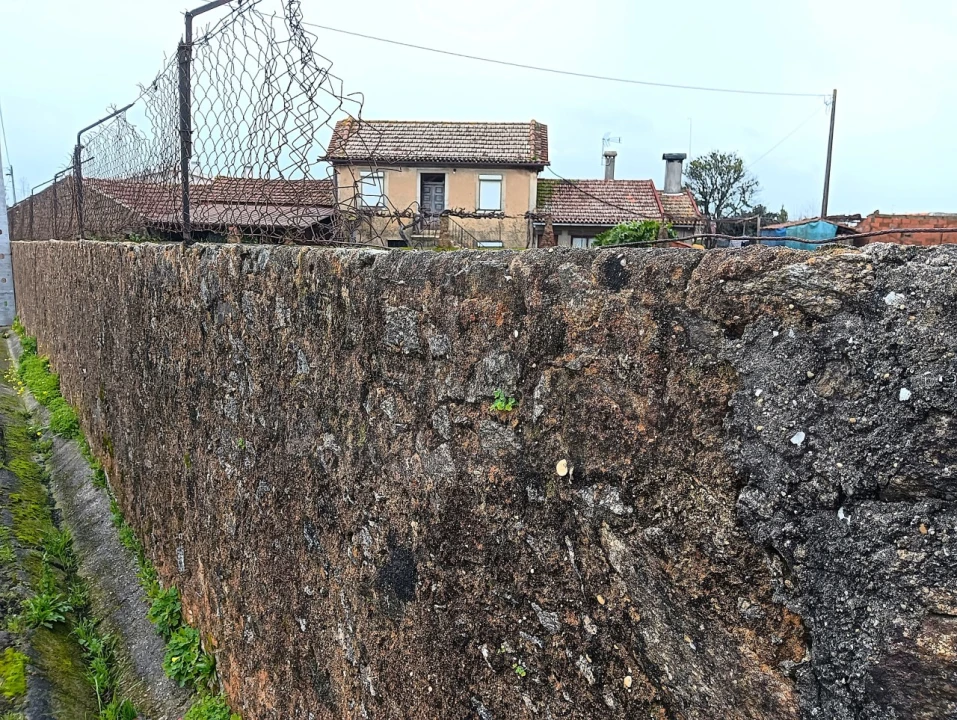 Terreno para Venda em Branca Foto 3