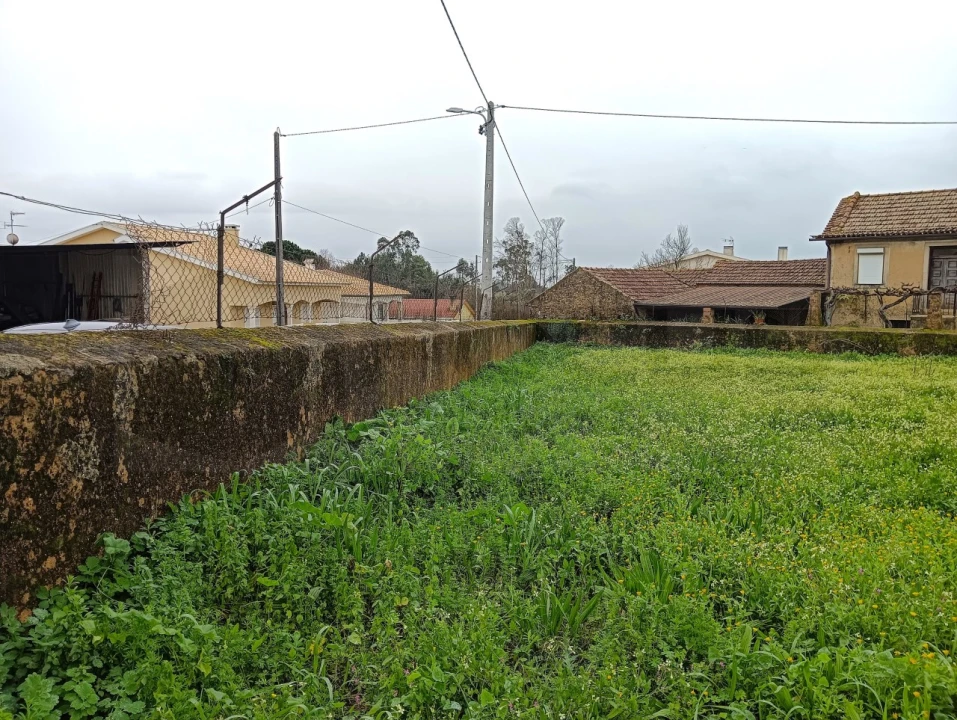 Terreno para Venda em Branca Foto 9