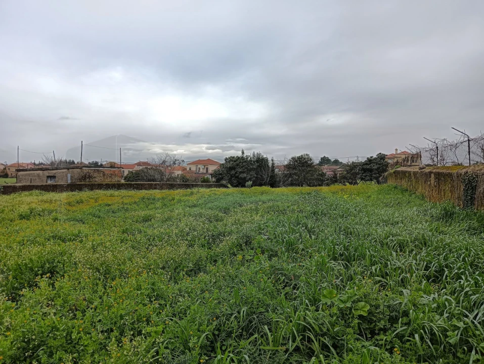 Terreno para Venda em Branca Foto 19