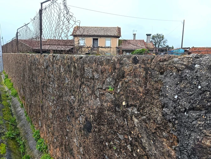 Terreno para Venda em Branca Foto 3