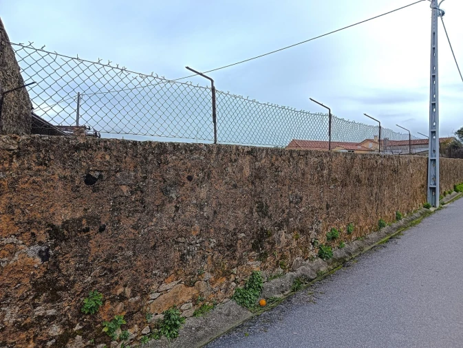 Terreno para Venda em Branca Foto 5