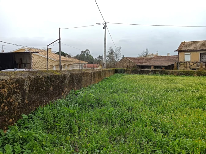 Terreno para Venda em Branca Foto 9