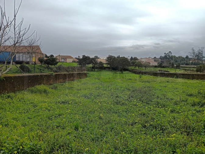 Terreno para Venda em Branca Foto 12