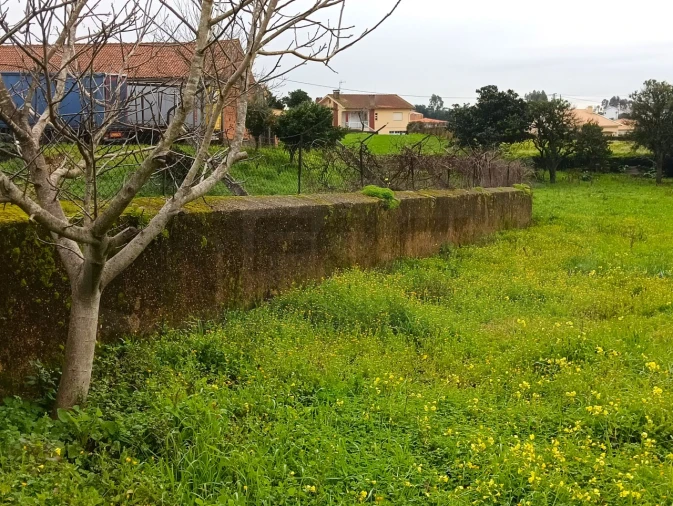 Terreno para Venda em Branca Foto 17