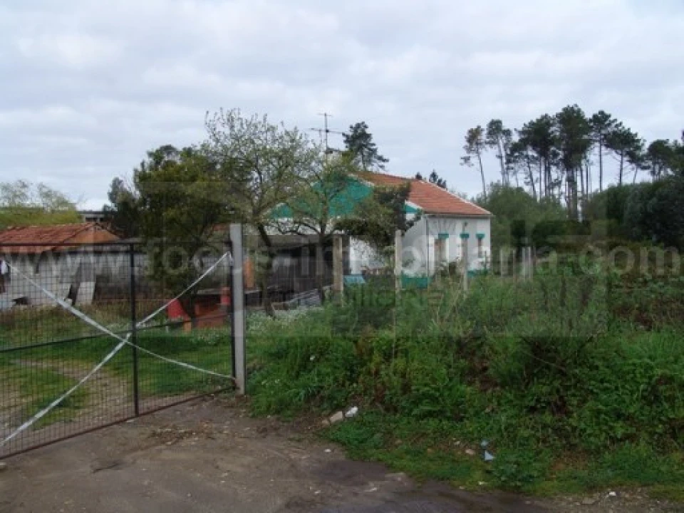 Terreno para Venda em Esgueira Foto 3