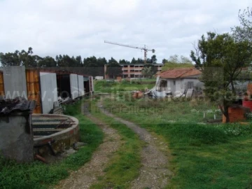 Terreno para Venda em Esgueira