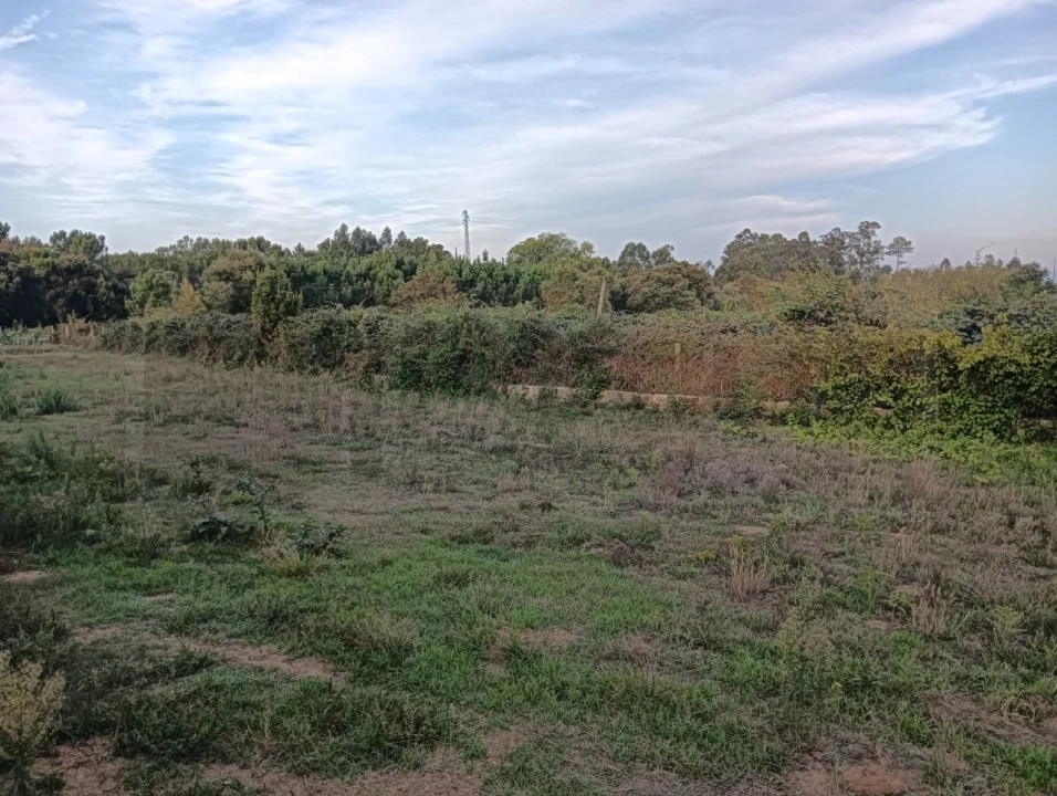 Terreno para Venda em Oiã Foto 11