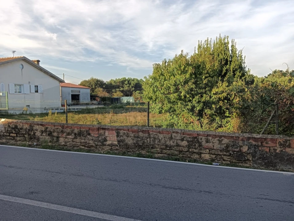 Terreno para Venda em Oiã Foto 13