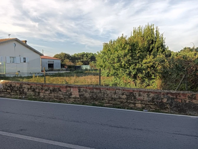 Terreno para Venda em Oiã Foto 3