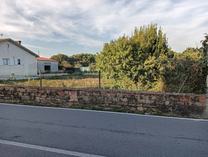 Terreno para Venda em Oiã Foto 4