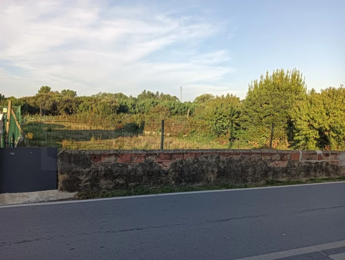 Terreno para Venda em Oiã Foto 12