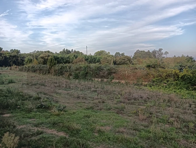 Terreno para Venda em Oiã Foto 15