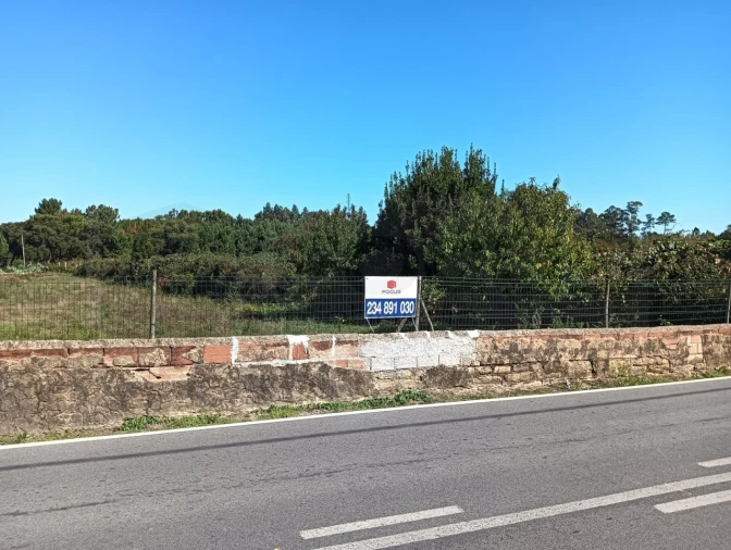 Terreno para Venda em Oiã Foto 1