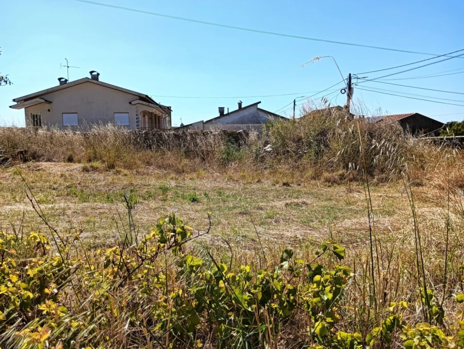 Terreno para Venda em Canelas e Fermelã Foto 2