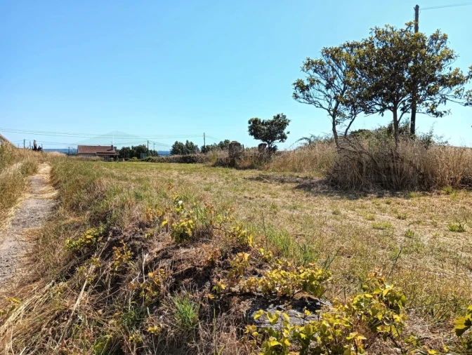 Terreno para Venda em Canelas e Fermelã Foto 3
