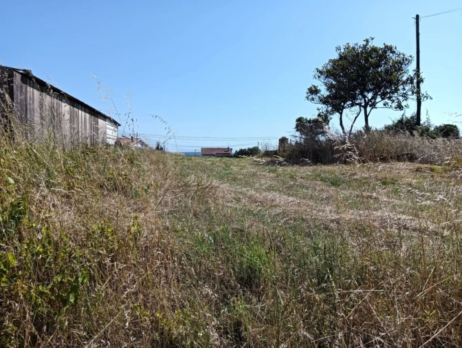 Terreno para Venda em Canelas e Fermelã Foto 4