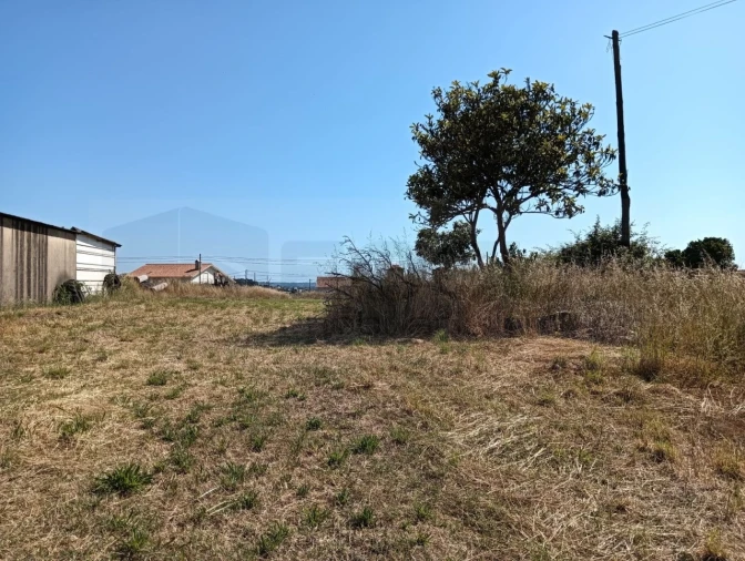 Terreno para Venda em Canelas e Fermelã Foto 5