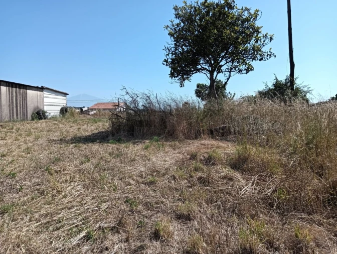 Terreno para Venda em Canelas e Fermelã Foto 7