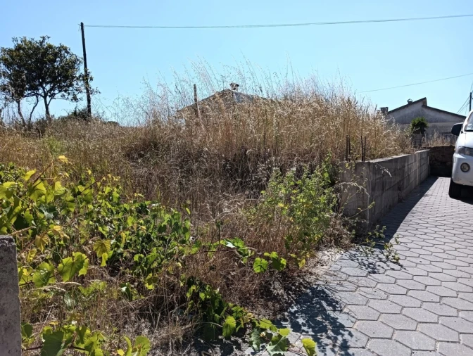 Terreno para Venda em Canelas e Fermelã Foto 8