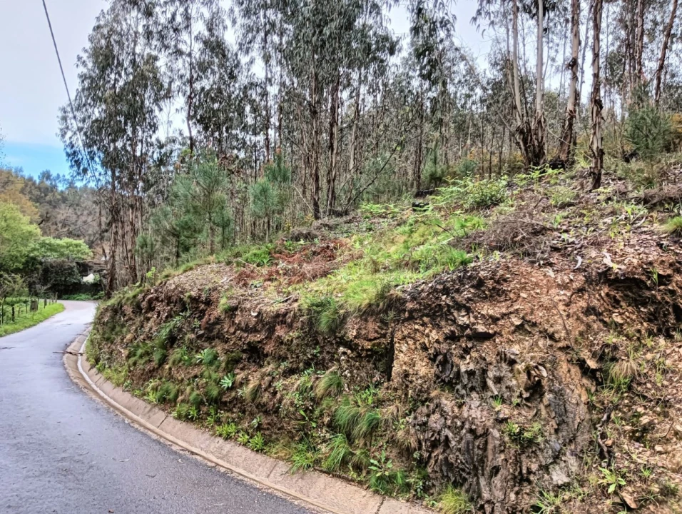 Terreno para Venda em Angeja Foto 10