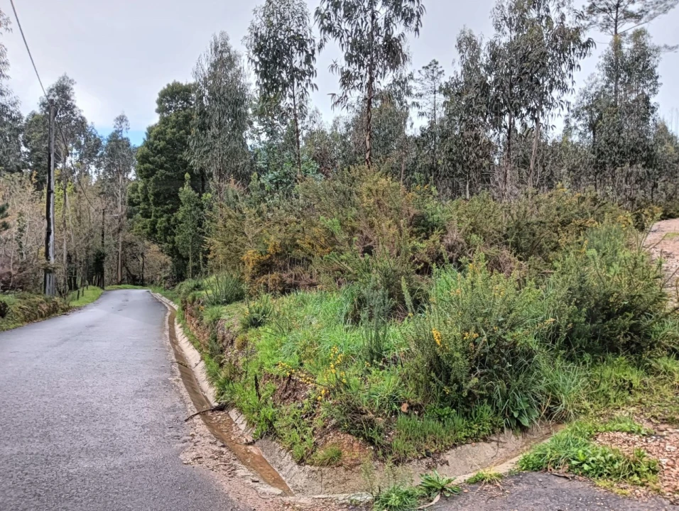 Terreno para Venda em Angeja Foto 12