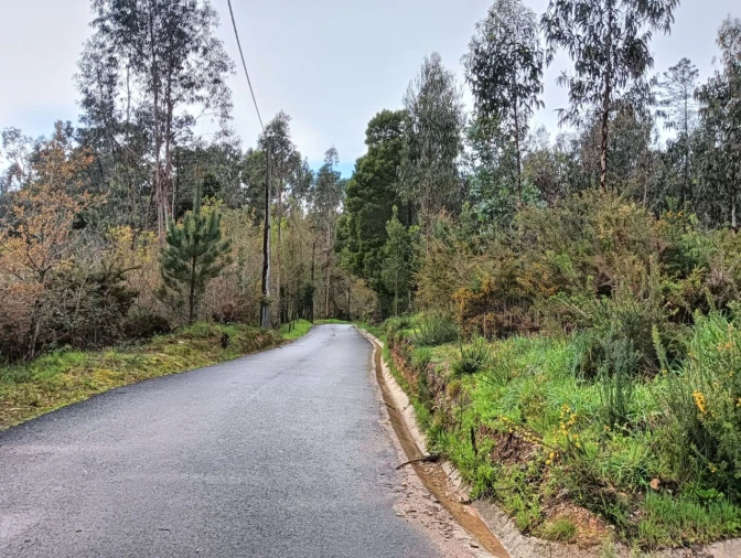 Terreno para Venda em Angeja Foto 13