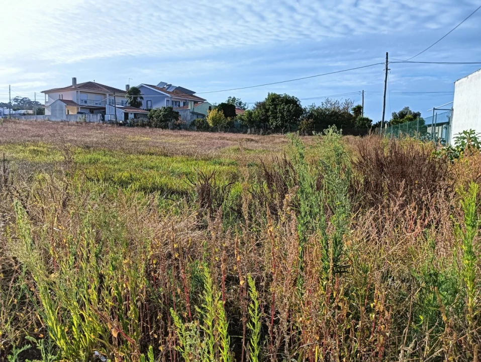 Terreno para Venda em Eixo e Eirol Foto 4