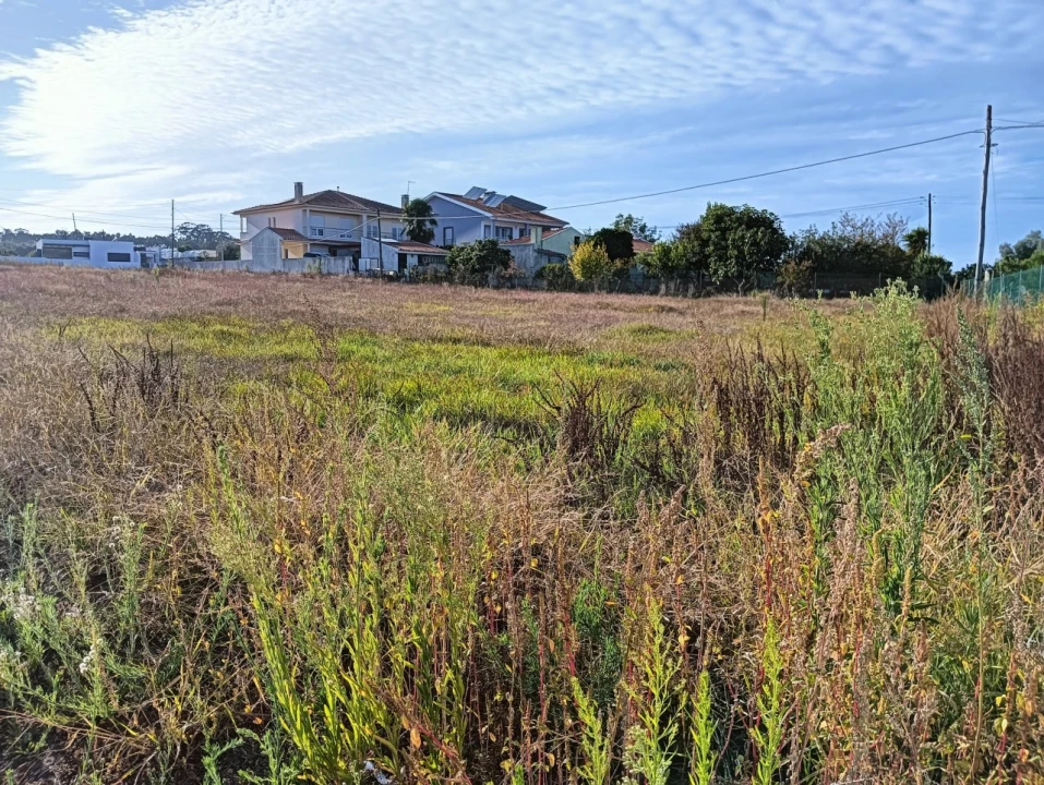 Terreno para Venda em Eixo e Eirol Foto 5