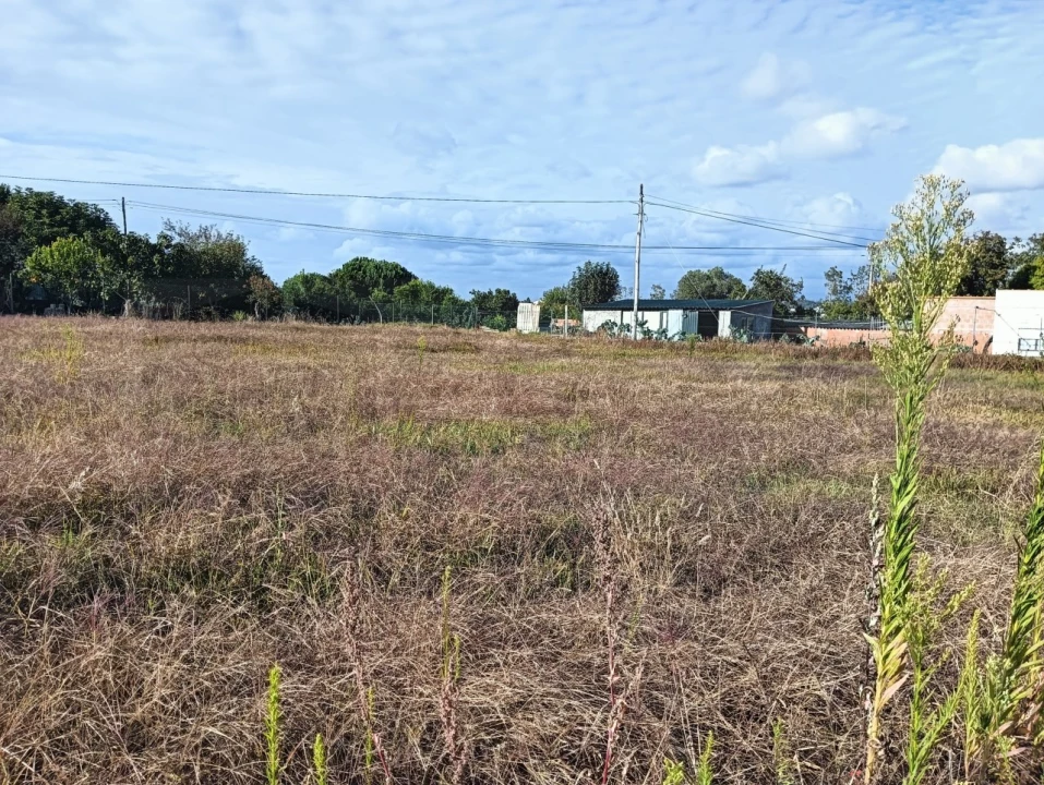 Terreno para Venda em Eixo e Eirol Foto 3