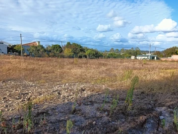 Terreno para Venda em Eixo e Eirol
