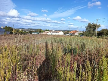 Terreno para Venda em Eixo e Eirol