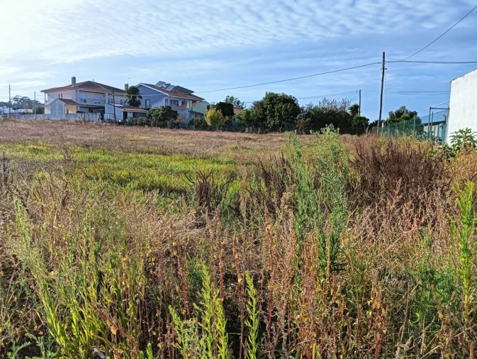 Terreno para Venda em Eixo e Eirol Foto 4