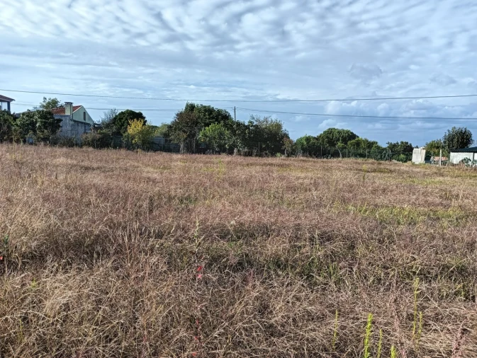 Terreno para Venda em Eixo e Eirol Foto 7