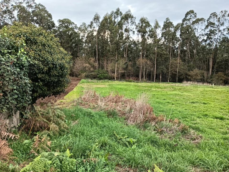 Terreno para Venda em Beduído e Veiros Foto 2