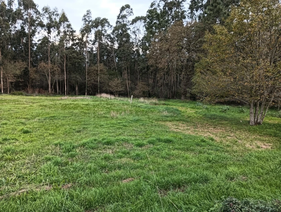 Terreno para Venda em Beduído e Veiros Foto 3