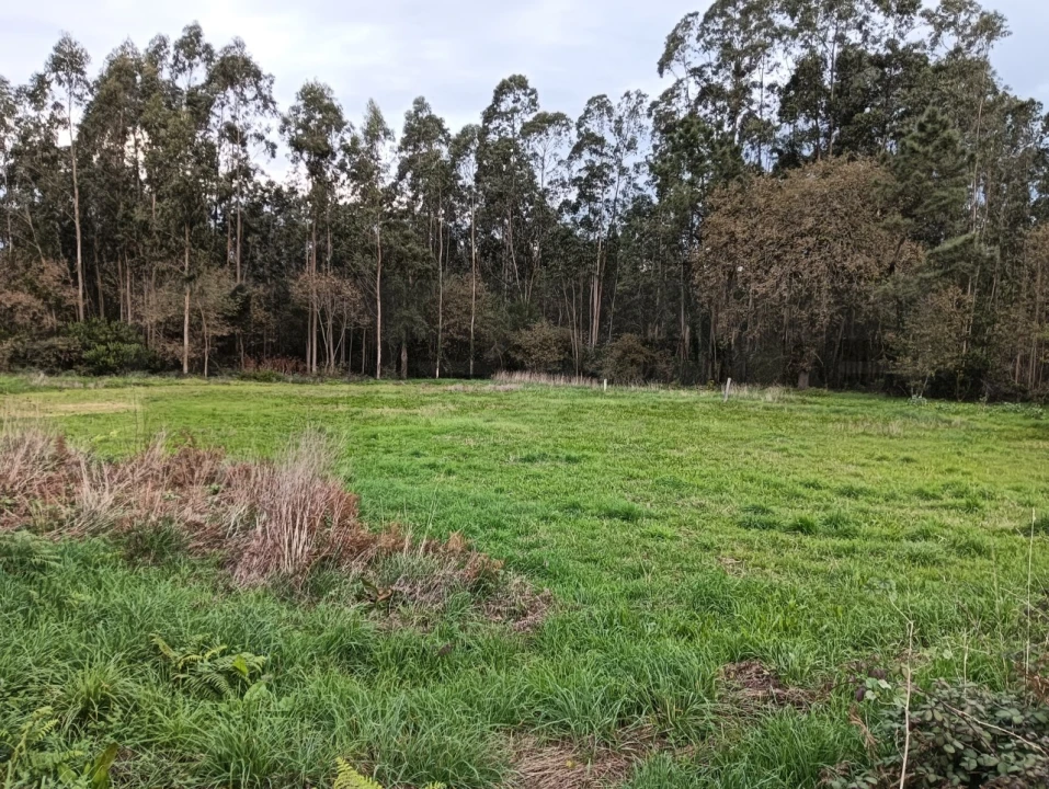 Terreno para Venda em Beduído e Veiros Foto 4