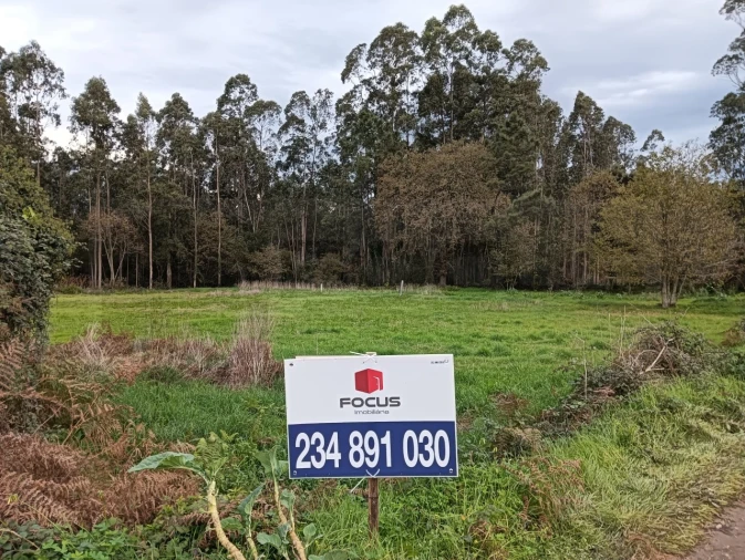 Terreno para Venda em Beduído e Veiros Foto 1