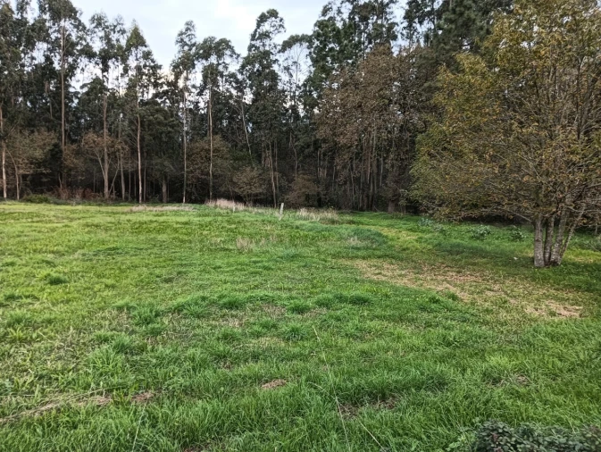 Terreno para Venda em Beduído e Veiros Foto 3