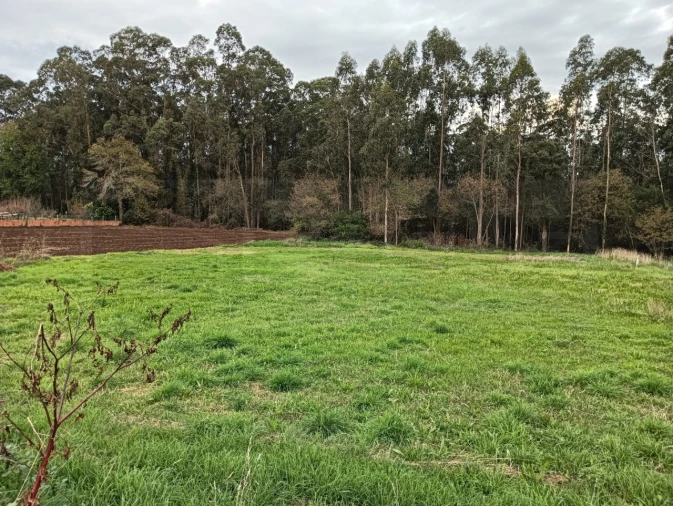 Terreno para Venda em Beduído e Veiros Foto 5