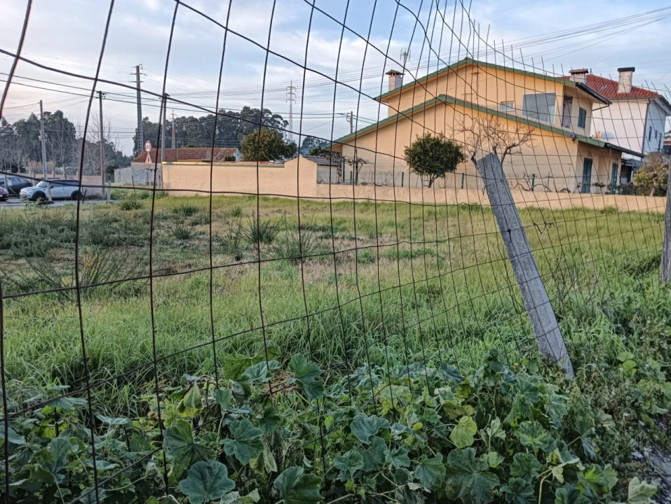 Terreno para Venda em Soza Foto 15
